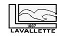 Lavflag